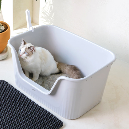 레토 고양이 화장실 특대형 65cm 박스형 고양이용품